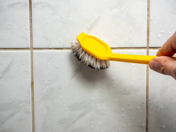 Best Commercial Mold Remediation in Maywood, IL