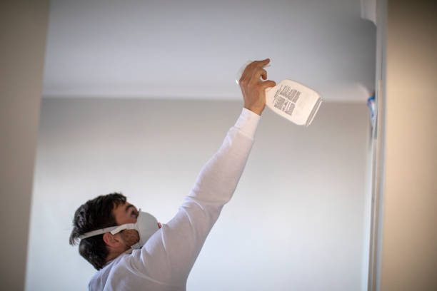 Best Bathroom Mold Remediation in Maywood, IL