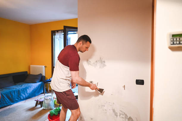 Best Crawl Space Mold Remediation in Maywood, IL